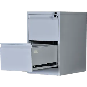 2-Drawer Shelf Office Gym Filing Storage Locker Cabinet