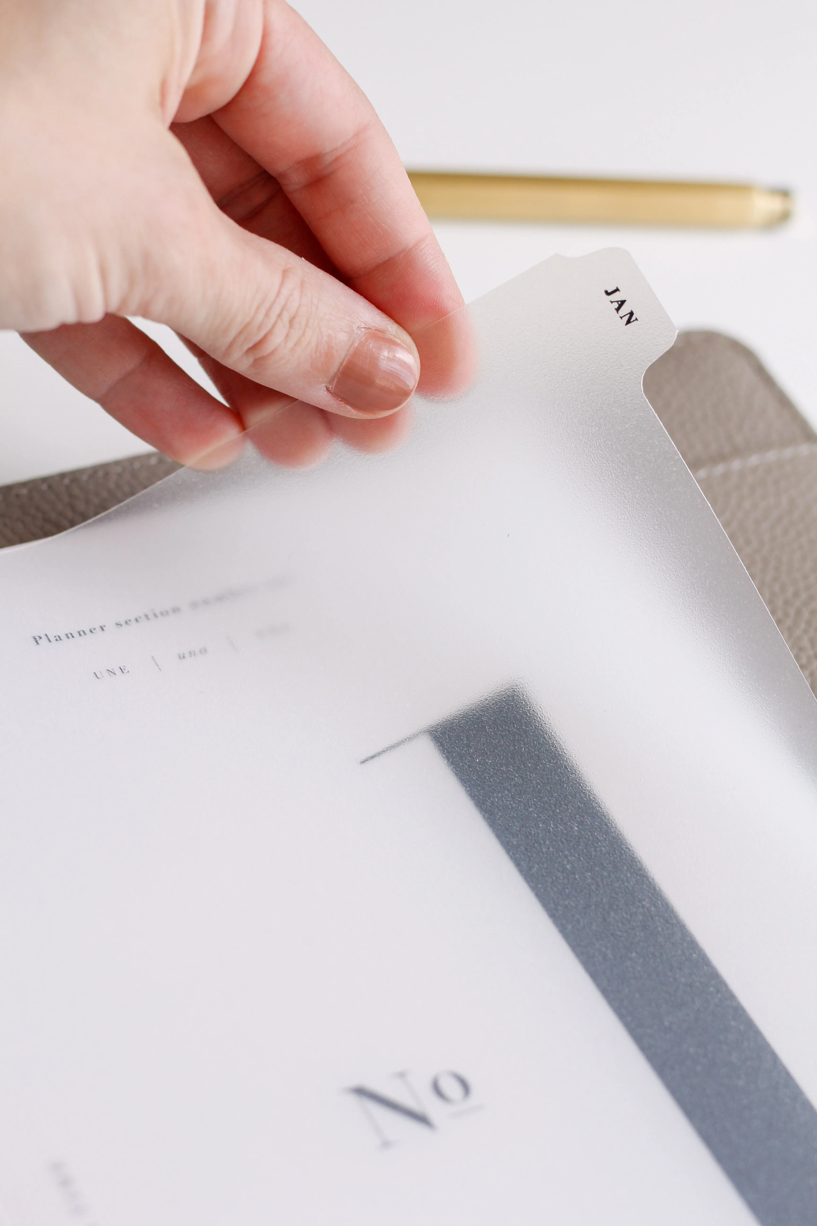 Frosted Monthly Dividers: A5 and Personal Size